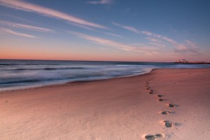 Leave-footprints-1-of-1