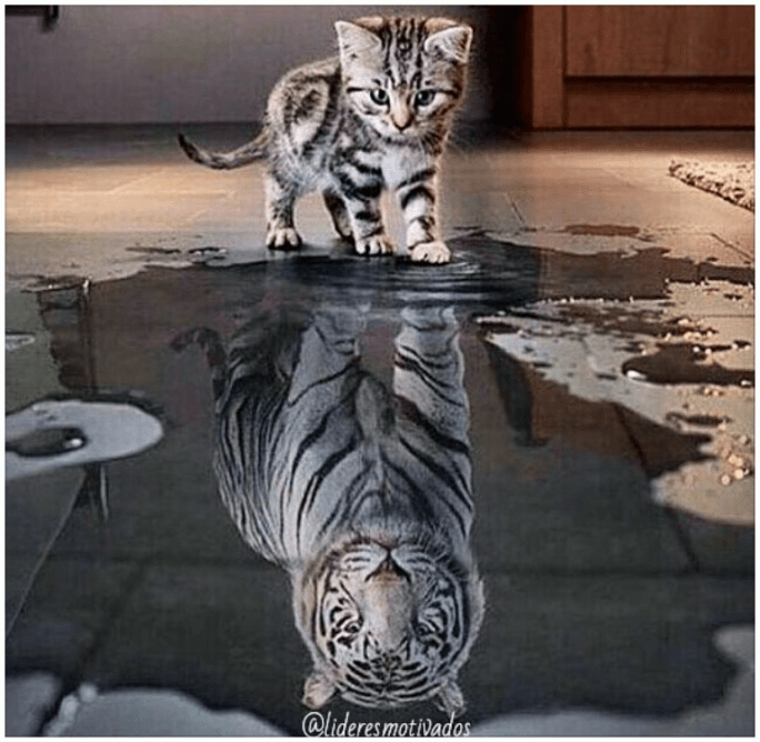 IMG_20160324_170522_edit_edit