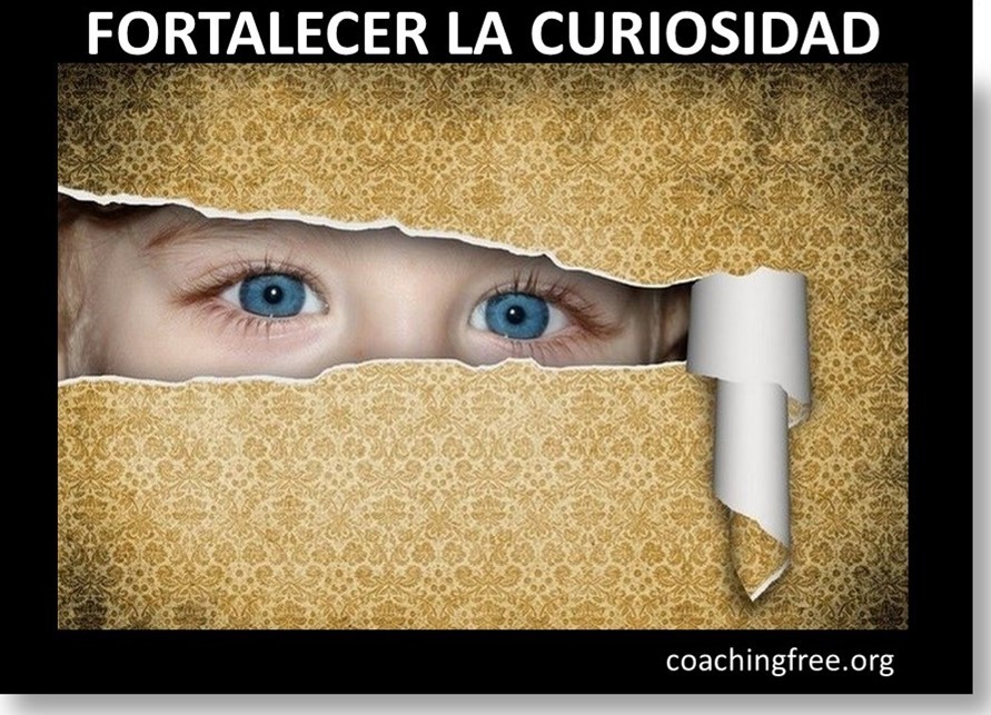 fortalecer la curiocidad